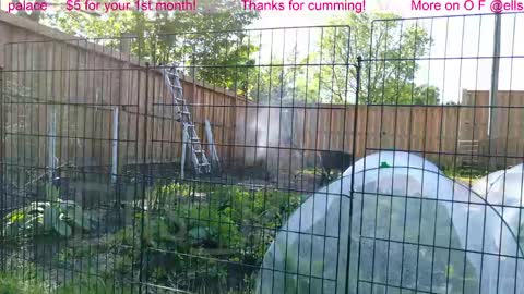 Snapshot of ells_palace chatting on June 2026 01:35:02 PM Ella Bella Bo Bella online show from June 2026 01:35:02 PM
