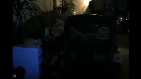 ElMetaTeDa online show from March 2026 02:48:02 AM