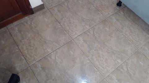 EloiseQuinn online show from December 2024 11:32:02 AM