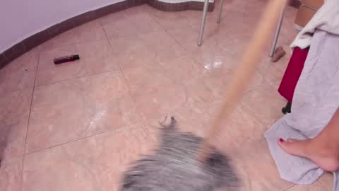 EloiseQuinn online show from January 2025 03:30:02 PM