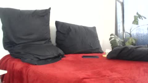 elputoquetegusta online show from December 2024 03:55:01 PM