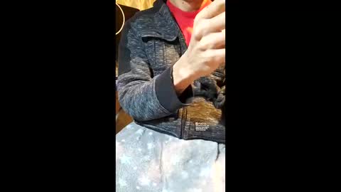 elvergg1 online show from January 2026 07:12:02 AM