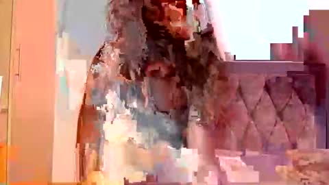 Elysey online show from September 2025 06:39:02 AM