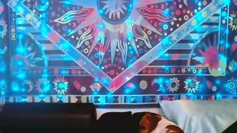 Ember Starleena online show from February 2025 05:31:01 PM