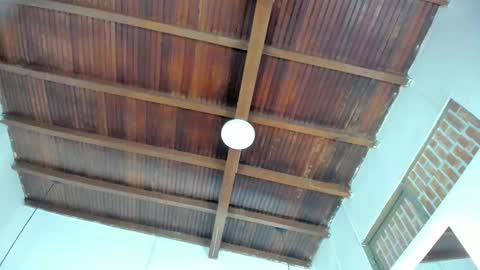 Emily  online show from December 2025 11:06:01 AM