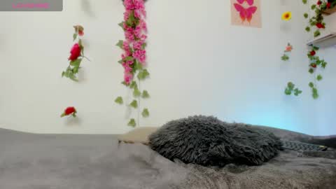 Snapshot of emily_coraline chatting on February 2025 06:35:02 PM Emily online show from February 2025 06:35:02 PM