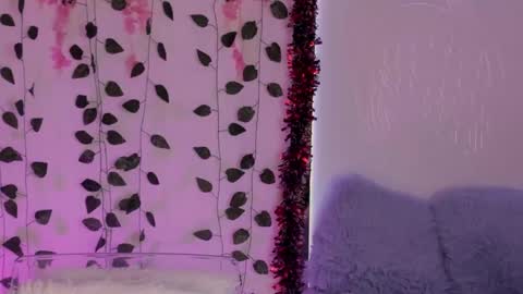 Emily online show from January 2025 03:26:01 AM