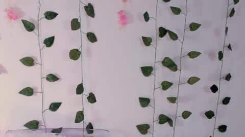 Emily online show from February 2025 03:10:02 AM