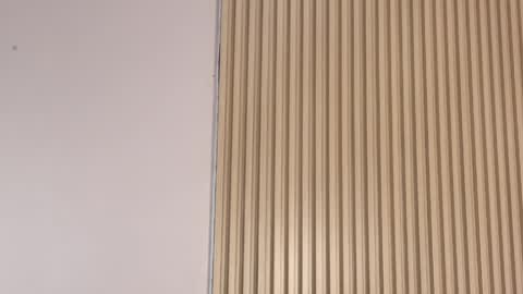 Emily online show from April 2026 12:25:01 PM