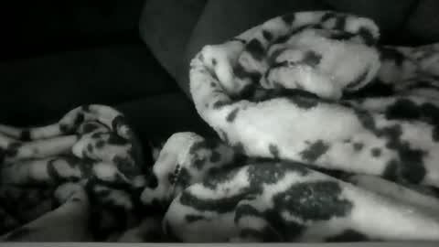 emilywarren296 online show from October 2025 01:12:01 PM