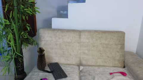 Snapshot of emma_blue_ chatting on October 2025 03:29:02 AM Emma Blue modelo independiente online show from October 2025 03:29:02 AM