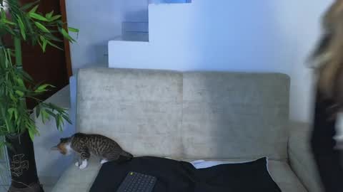 Snapshot of emma_blue_ chatting on October 2025 04:05:02 AM Emma Blue modelo independiente online show from October 2025 04:05:02 AM