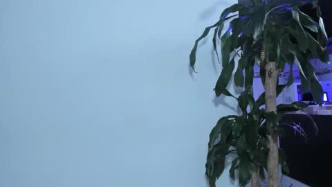 Emma online show from February 2025 02:30:01 PM