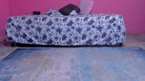 whises lits        online show from December 2024 09:42:01 AM