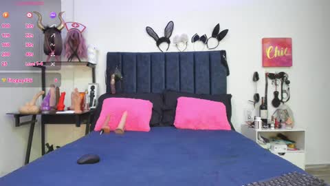          online show from February 2025 02:54:02 PM