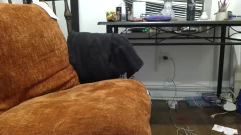 empusalamia online show from January 2025 11:22:02 PM