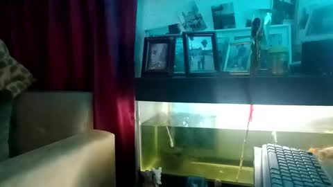 Engel online show from September 2025 10:20:01 AM