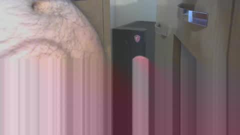 engin_83 online show from April 2026 11:30:02 PM