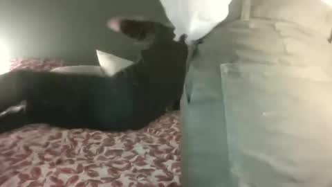 Steph et Eric online show from February 2025 10:06:02 PM