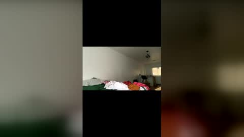 Gabs online show from December 2025 04:14:01 PM