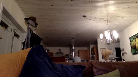 eros online show from December 2024 01:59:01 AM