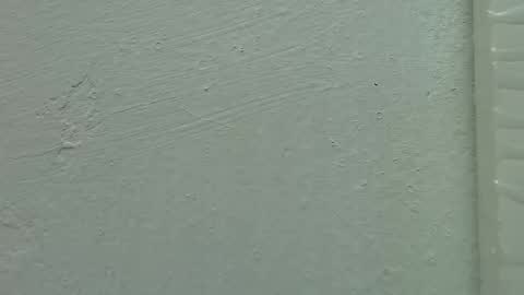 Estrella online show from February 2025 11:50:02 AM