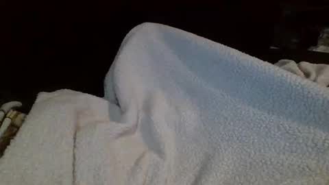 eu369033 online show from February 2026 08:07:01 PM