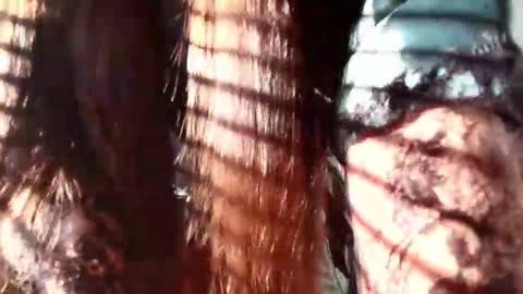 Evaa Depp online show from January 2025 12:27:02 PM