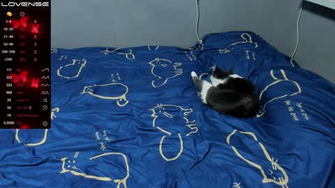 Eva online show from January 2025 01:58:02 PM