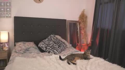 Snapshot of evajacksss_ chatting on February 2026 09:21:01 PM evajacksss_ online show from February 2026 09:21:01 PM