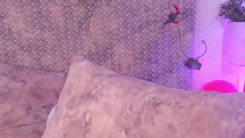 Evan Smitt online show from February 2025 04:23:02 PM