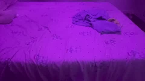 evandroribeiro online show from April 2026 12:05:02 PM