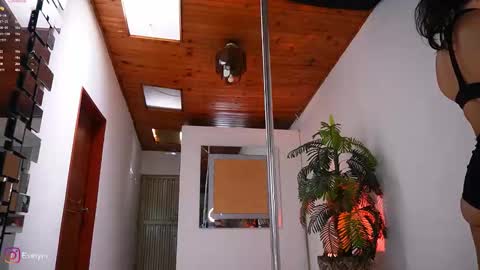 Snapshot of evelyn_evelyn chatting on February 2026 04:14:01 PM evelyn evelyn online show from February 2026 04:14:01 PM