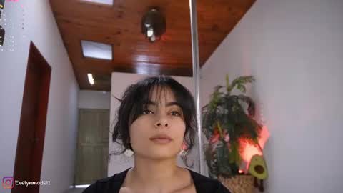 Snapshot of evelyn_evelyn chatting on June 2026 04:16:02 PM evelyn evelyn online show from June 2026 04:16:02 PM
