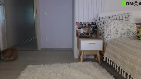 Snapshot of evi_woow chatting on February 2025 05:13:02 PM evi_woow online show from February 2025 05:13:02 PM