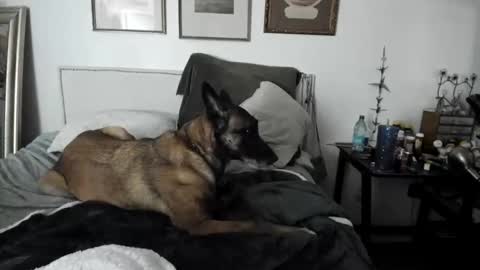 EV Parrish online show from February 2025 04:48:02 AM