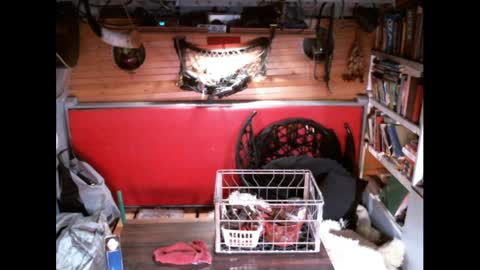 EvPierce online show from March 2026 04:24:02 AM