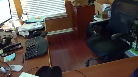 exhibitman69_ldb online show from February 2025 10:04:01 PM