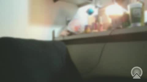 Snapshot of exoticlexi chatting on February 2026 07:14:01 AM Exoticlexxii online show from February 2026 07:14:01 AM