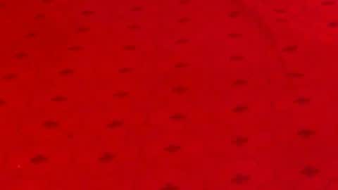 Alana online show from December 2024 12:12:01 AM