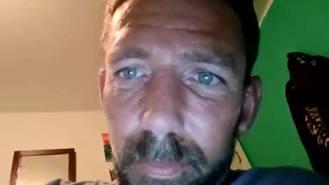 experttreecompany online show from March 2026 02:26:02 AM