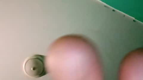 experttreecompany online show from April 2026 07:17:02 AM