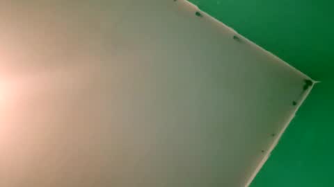 experttreecompany online show from April 2026 10:26:02 PM