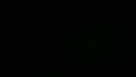 ExtendoKlit online show from January 2025 11:45:02 AM