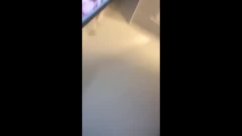 eyelyke2kream online show from September 2025 07:13:02 PM