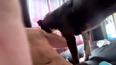 MichazaXO online show from October 2025 04:28:01 PM