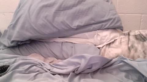 ez37going88 online show from April 2026 02:12:02 PM