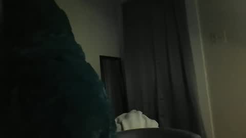 Snapshot of faberini chatting on January 2025 01:06:01 AM FabOmobono online show from January 2025 01:06:01 AM