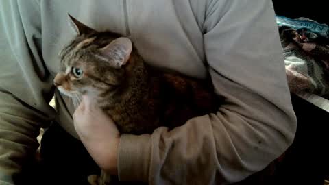 Fabius online show from February 2025 08:54:01 AM