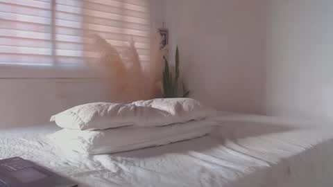 -  A N D E R online show from January 2025 09:22:01 PM